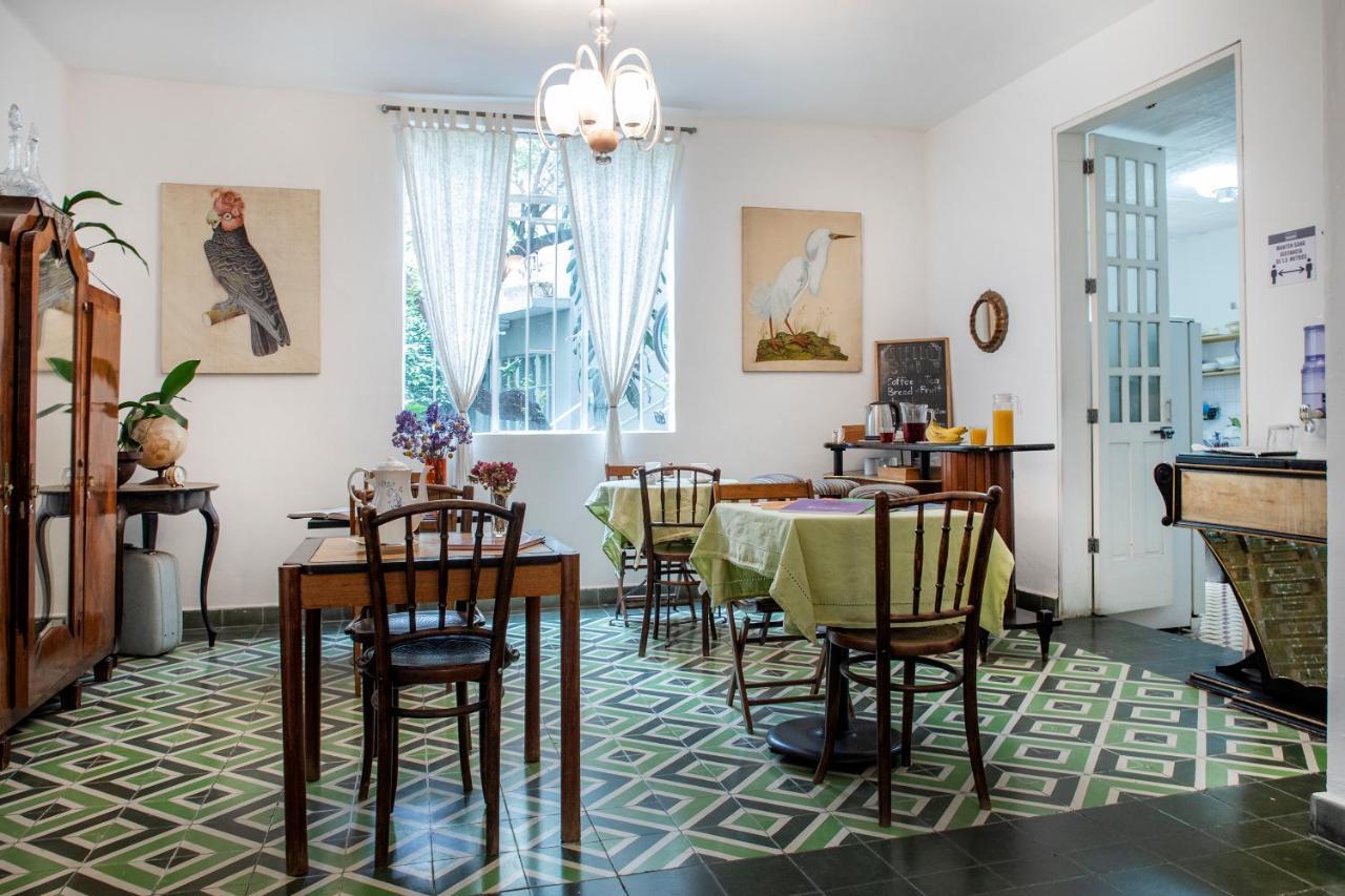 Stella Bed & Breakfast Мехико Экстерьер фото